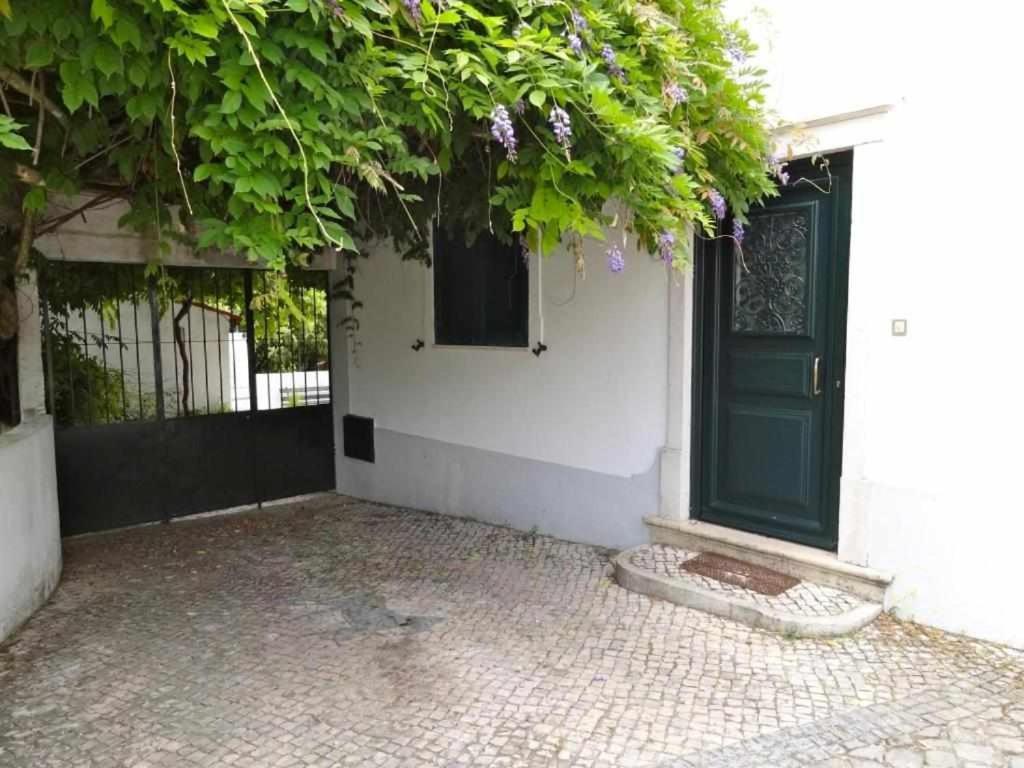 Casa Dos Pocinhos Ferias Tranquilas No Campo Torres Novas Kültér fotó