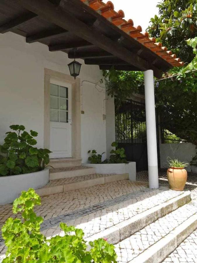 Casa Dos Pocinhos Ferias Tranquilas No Campo Torres Novas Kültér fotó